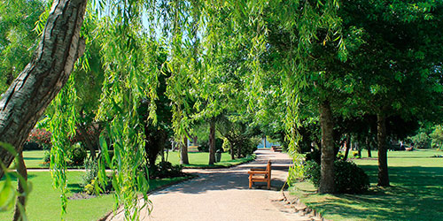 Jardines de Mater Terra