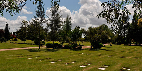 Jardines de Mater Terra