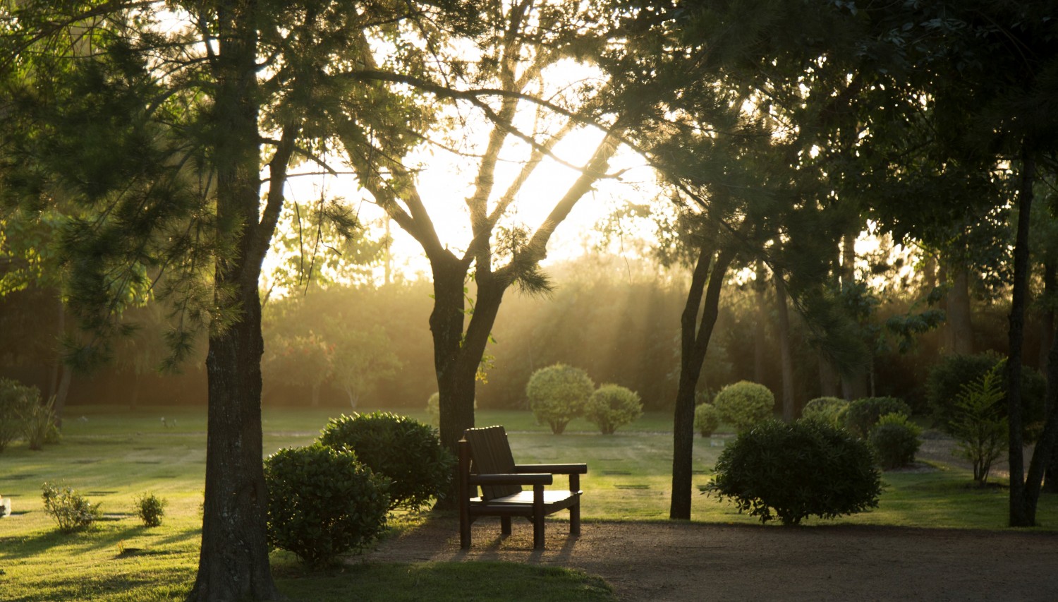 Jardines del parque